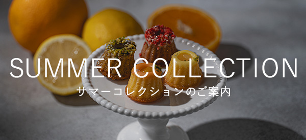 2026年サマーコレクションのご案内