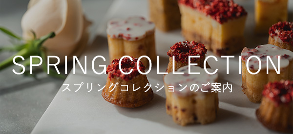 2026年スプリングコレクションのご案内